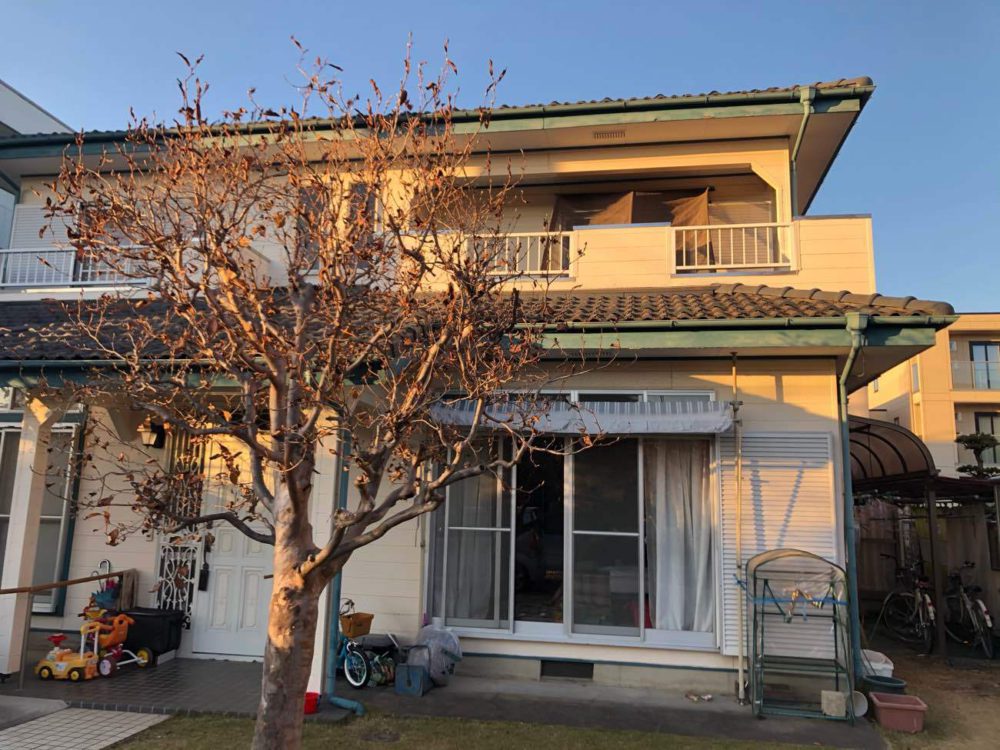 Before画像