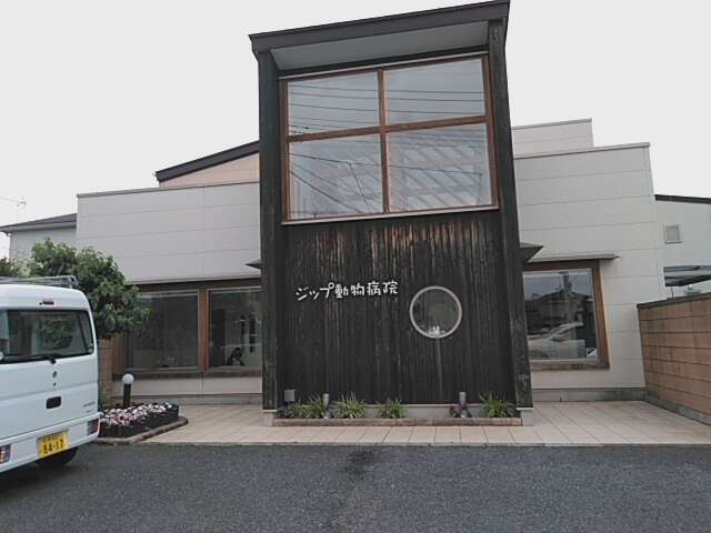 Before画像